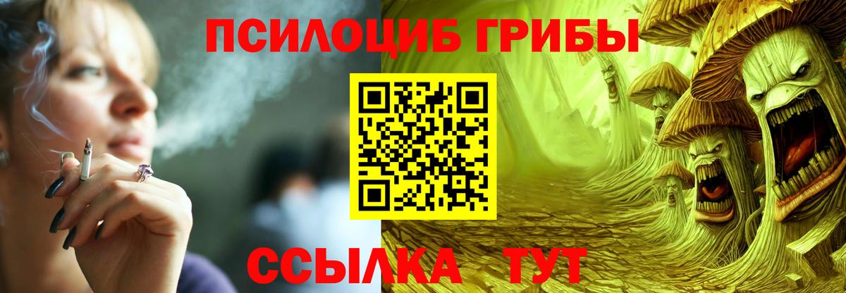 Стрежевой  купить наркотики цена  Вход с VPN  Галлюциногенные грибы Psilocybine cubensis  Псилоцибиновые грибы Psilocybe 