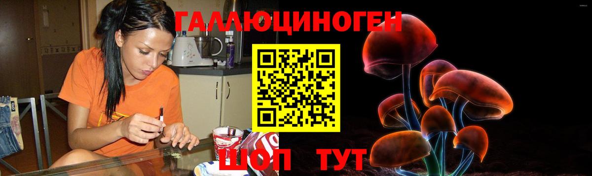 Псилоцибиновые грибы мухоморы Стрежевой